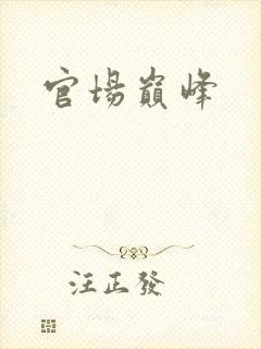 官场巅峰