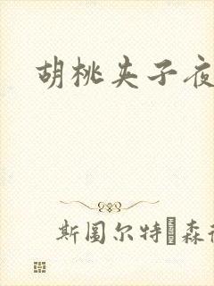 胡桃夹子夜未眠