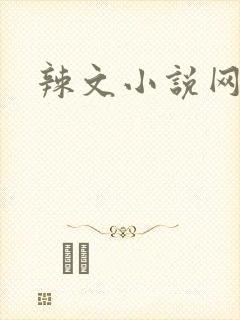 辣文小说网
