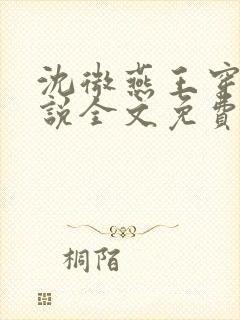 沈微燕王穿越小说全文免费阅读