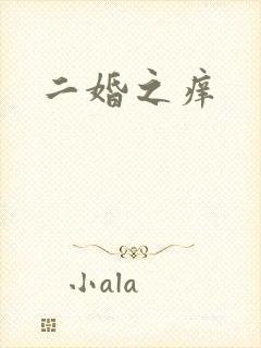 二婚之痒
