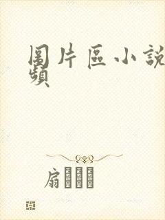 图片区小说区视频