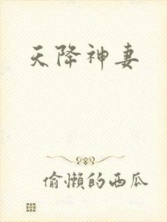 天降神妻