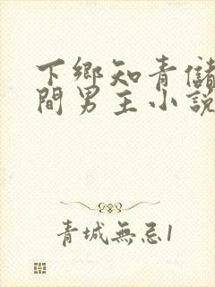 下乡知青储物空间男主小说