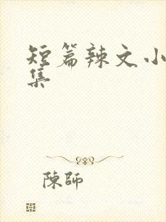 短篇辣文小说合集