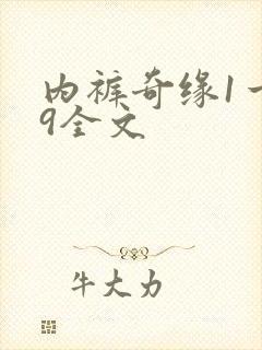 内裤奇缘1一39全文
