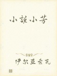 小说小芳