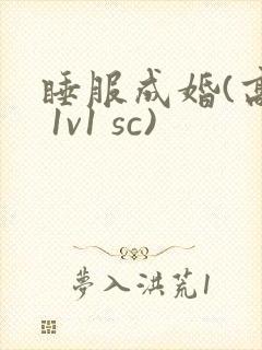 睡服成婚(高h 1v1 sc)