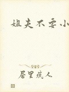 姐夫不要小说