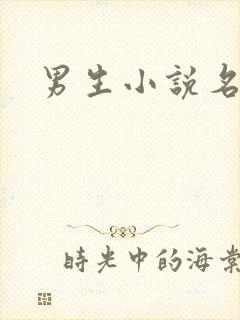男生小说名字