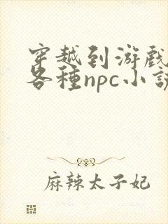 穿越到游戏里和各种npc小说