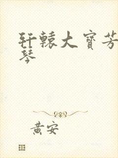 轩辕大宝芳菲雅琴