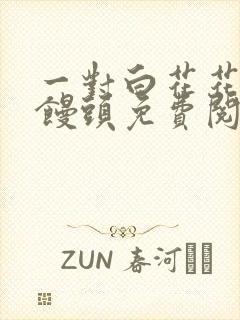 一对白花花的大馒头免费阅读