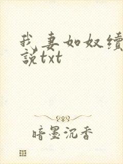 我妻如奴续写小说txt