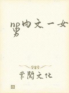 np肉文一女多男