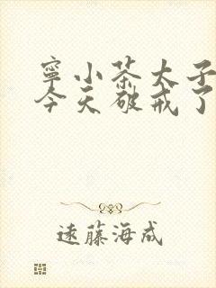 宁小茶太子殿下今天破戒了吗免费阅读