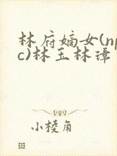 林府嫡女(npc)林玉林璋