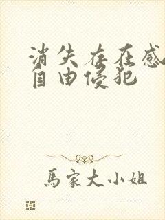 消失存在感消失自由侵犯