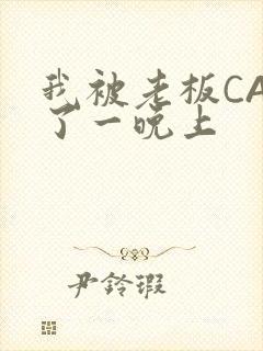 我被老板CAO了一晚上