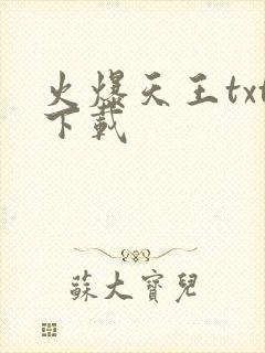 火爆天王txt下载