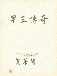 星王传奇