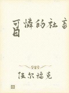 可怜的社畜东度日