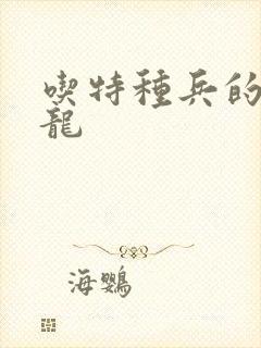 吃特种兵的大黑龙