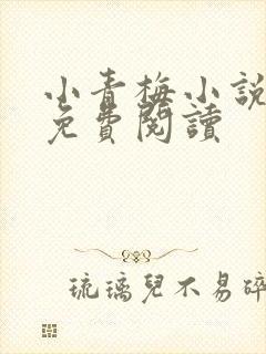 小青梅小说全文免费阅读
