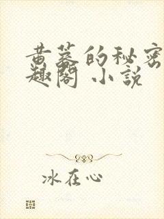 黄蓉的秘密 笔趣阁 小说