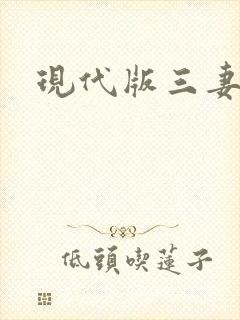 现代版三妻四妾