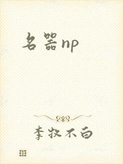 名器np