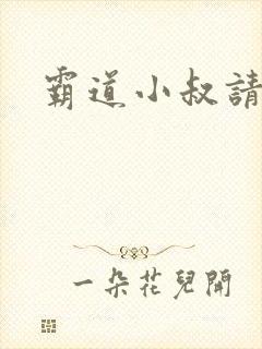 霸道小叔请轻撩