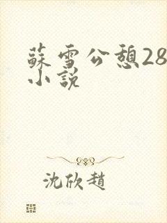 苏雪公憩28篇小说