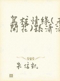 驾校情缘(老树开花)孙潇潇第一次趣笔阁