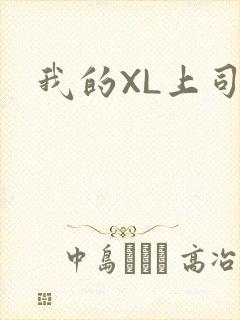 我的XL上司