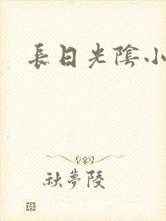 长日光阴小说