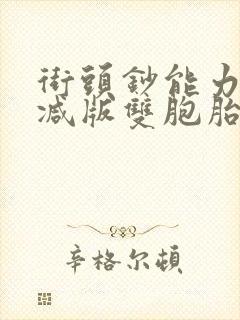 街头钞能力无删减版双胞胎