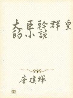 大臣干群皇太后的小说