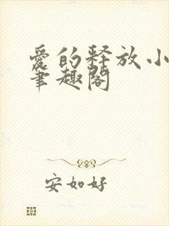 爱的释放小说 笔趣阁