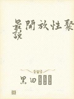 最开放性聚会小说