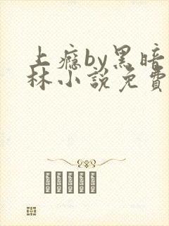 上瘾by黑暗森林小说免费