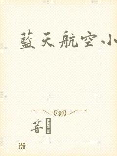 蓝天航空小说