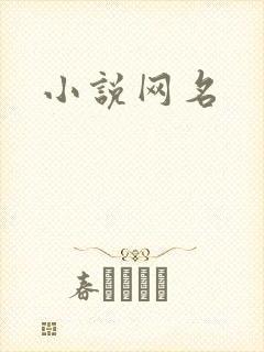 小说网名