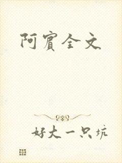 阿宾全文
