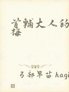 首辅大人的小青梅