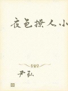 夜色撩人小说