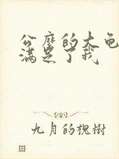 公么的大龟强大满足了我