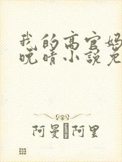 我的高官妈妈苏晚晴小说免费阅读