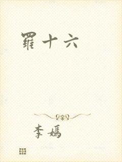 罗十六