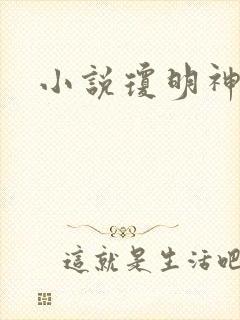 小说琼明神女录